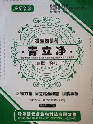 青立净