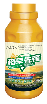 稻早先锋