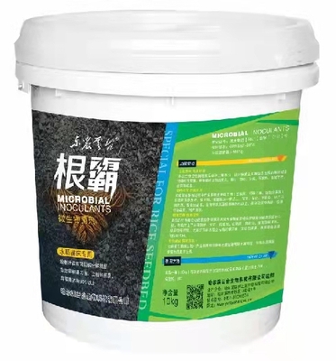 根霸水稻苗床专用