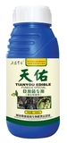 天佑食用菌