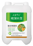 根深叶茂
